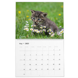 Calendário Felino de Gatinhos Gatinhos Fofinhos Felinos 2020
