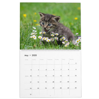 Calendário Felino de Gatinhos Gatinhos Fofinhos Felinos 2020