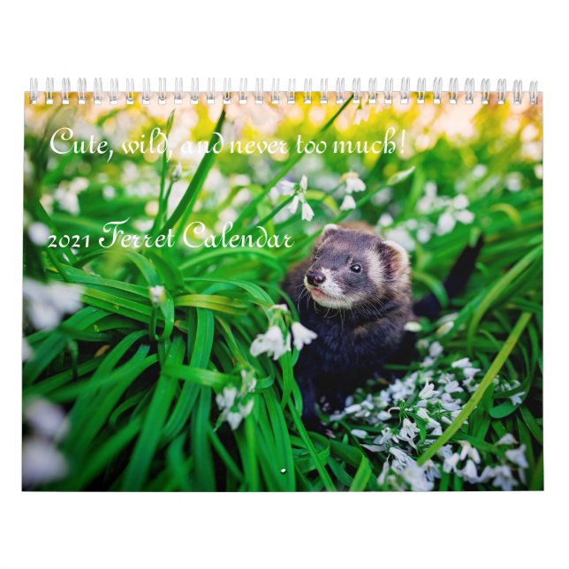 Calendário Ferret 2021 (Capa)