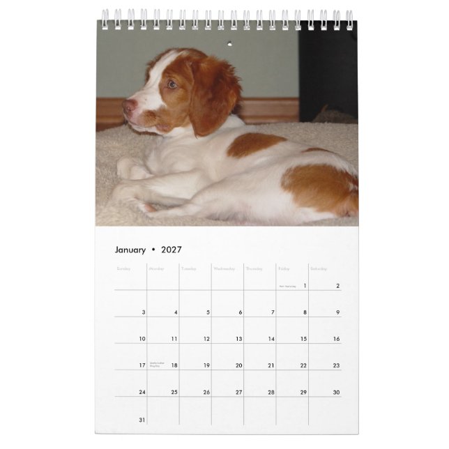 Calendário Filhotes de cachorro 2008 de Brittany (Jan 2027)