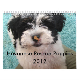 Calendário Filhotes de cachorro 2012 do salvamento de