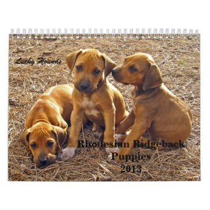 Calendário Filhotes de cachorro 2013 de Rhodesian Ridgeback