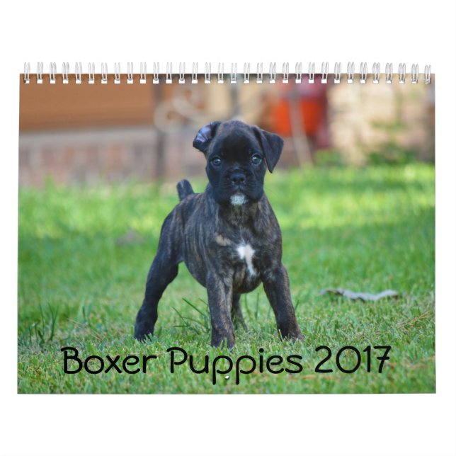 Calendário Filhotes de cachorro 2017 do pugilista (Capa)