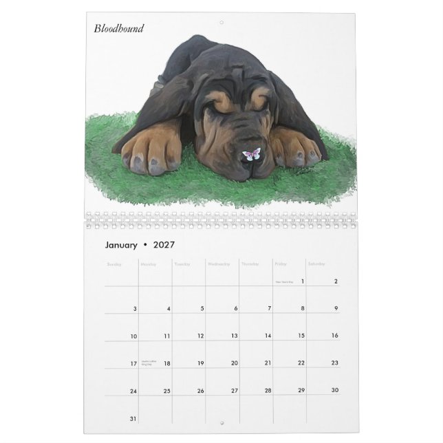 Calendário Filhotes de cachorro & borboletas (Jan 2027)