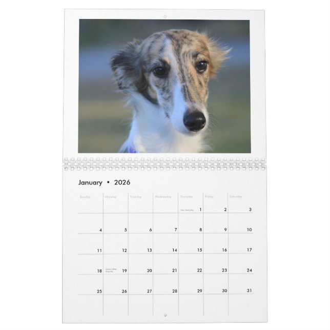 Calendário Filhotes de cachorro macios 2013 de Windhound (Jan 2026)