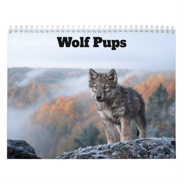 Calendário Filhotes de Lobo 2027 (Capa)
