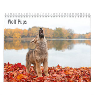 Calendário Filhotes de Lobo 2027