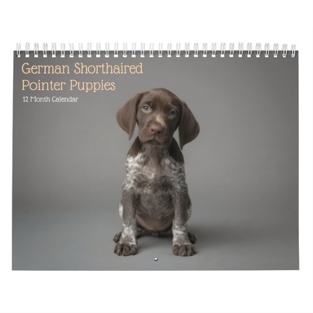 Calendário Filhotes de Pointer Alemão de Cabelo Curto Calendá (Capa)