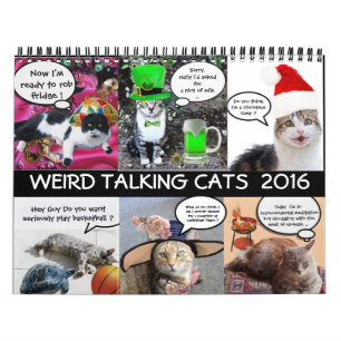 CALENDÁRIO FITAS DE GÊNERO FUNNY PROVENIENTES DE GATOS DE CON