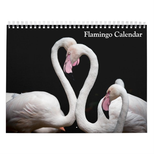 Calendário Flamingo 2025 (Capa)