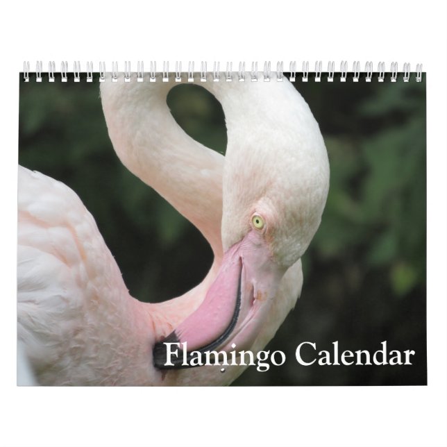Calendário Flamingo 2025 (Capa)
