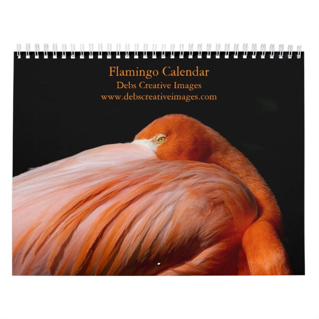 Calendário Flamingo 2026 (Capa)
