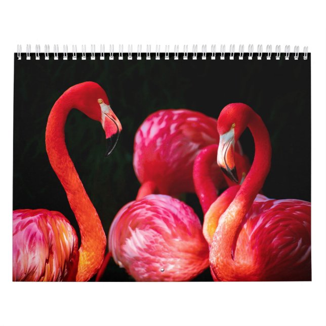 Calendário Flamingo Rosa Tropical Moderno (Capa)