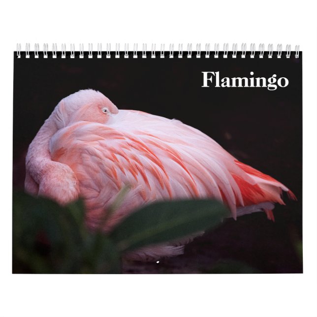 Calendário Flamingos 2027 (Capa)