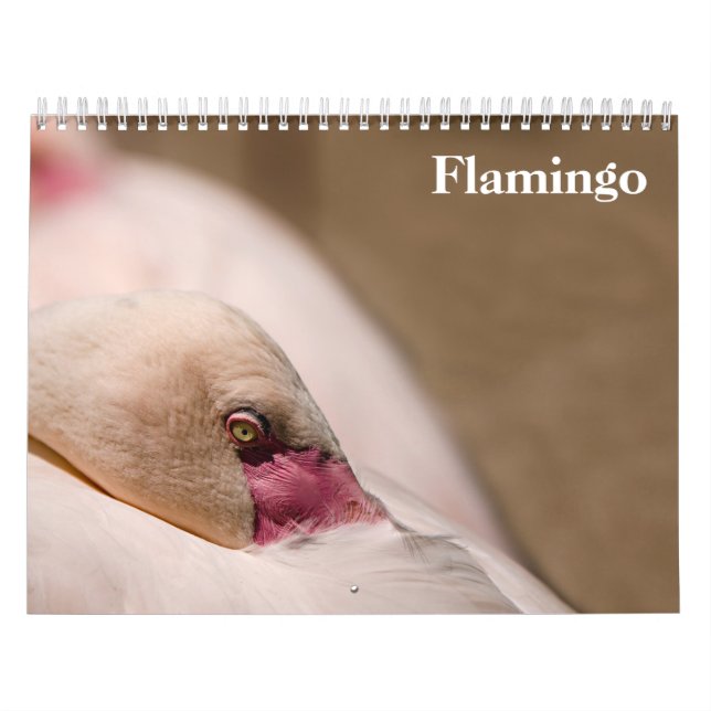 Calendário Flamingos 2027 (Capa)