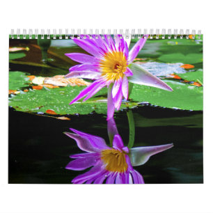 Calendário Flor Calander