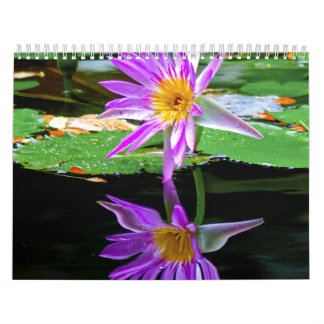 Calendário Flor Calander