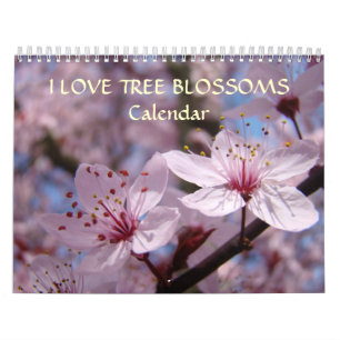 Calendário Flor de Cerejeira Rosa Branca Maçã