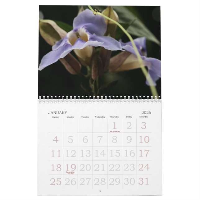 Calendário floral (Jan 2026)