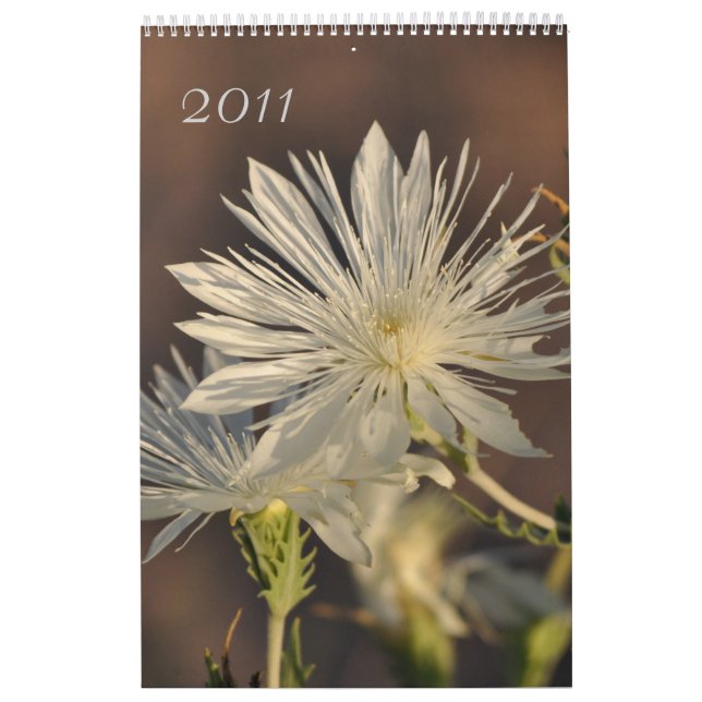 Calendário Floral 2011 (Capa)