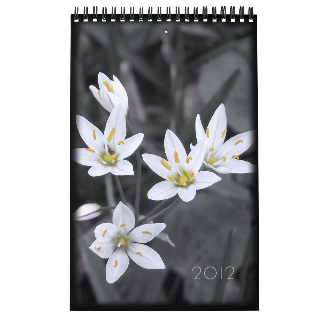 Calendário Floral 2012 12 meses de solteiro (Capa)