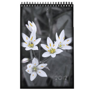 Calendário Floral 2012 12 meses de solteiro