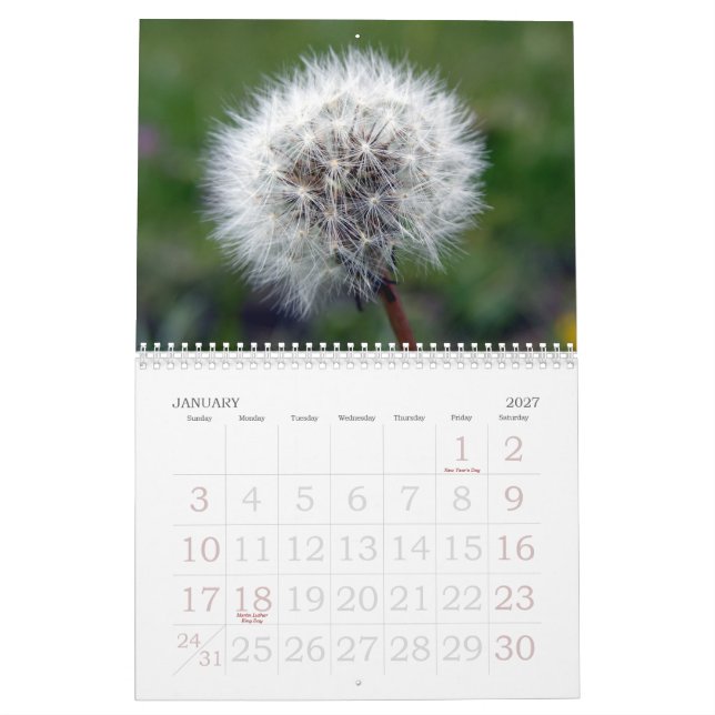 Calendário floral suíço da mostra 2008 (Jan 2027)