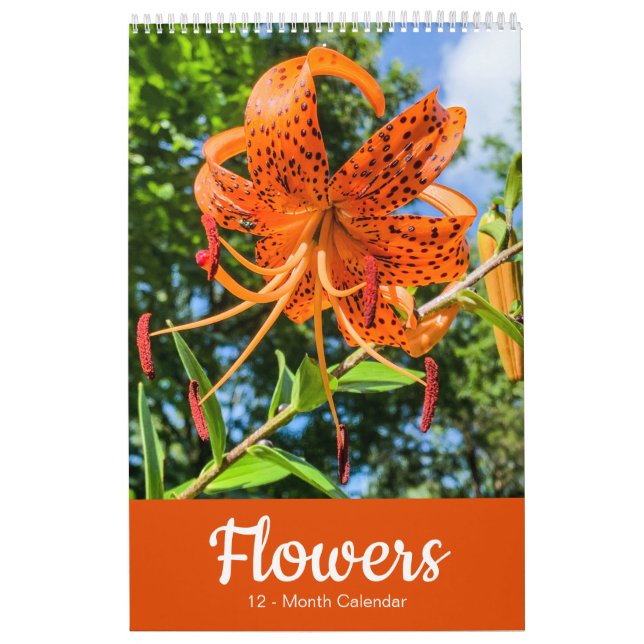 Calendário FLORES 12 Meses Belo Floral (Capa)