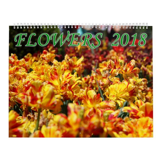 Calendário Flores 2018 (Capa)