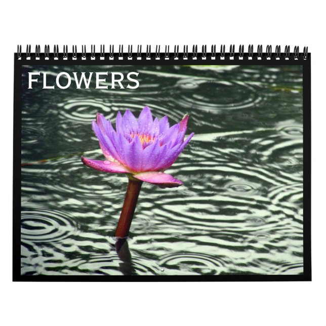 Calendário flores 2027 (Capa)