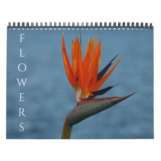 Calendário flores 2027 (Capa)