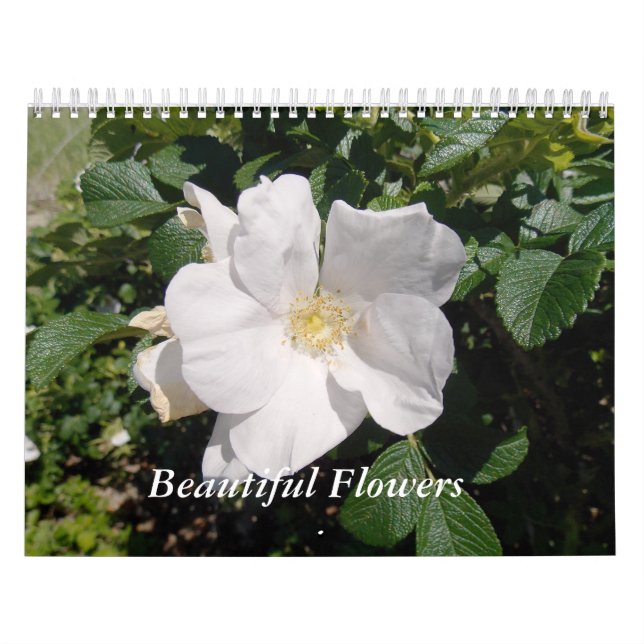 Calendário Flores bonitas (Capa)