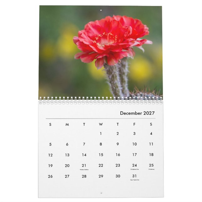 Calendário Flores Cactus (Dez 2027)