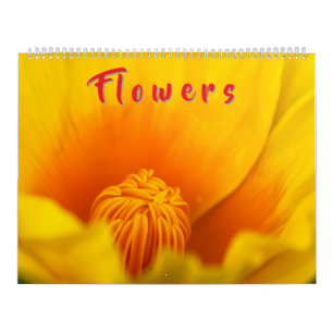 Calendário Flores Coloridas 