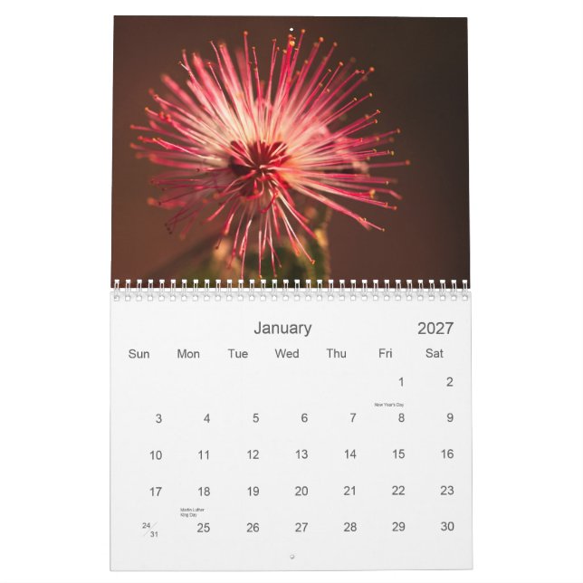 Calendário Flores da arizona (Jan 2027)