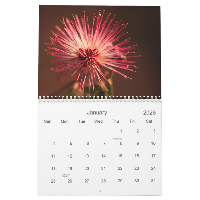 Calendário Flores da arizona (Jan 2026)