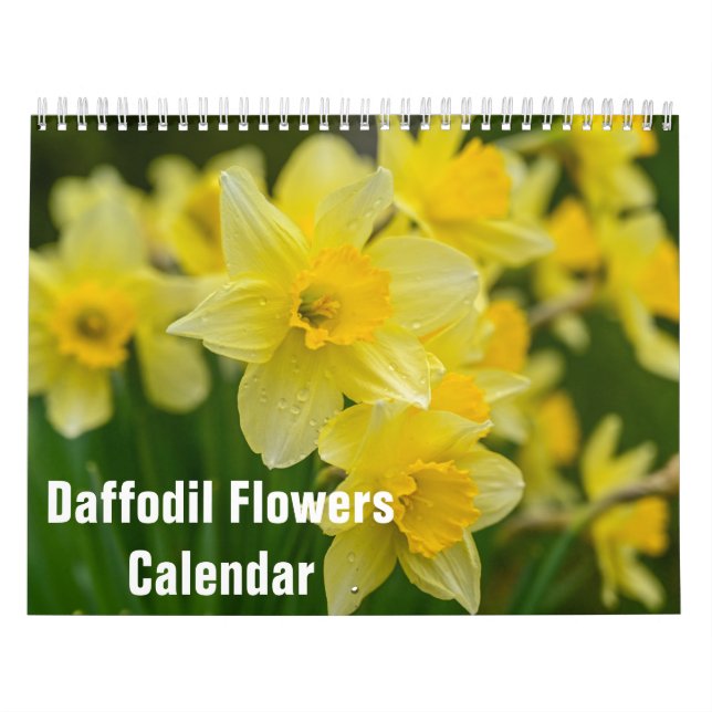 Calendário Flores Daffodil Floral 2025 (Capa)