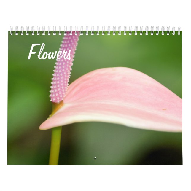 Calendário Flores de Beleza Natural (Capa)