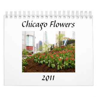 Calendário Flores de Chicago, 2011