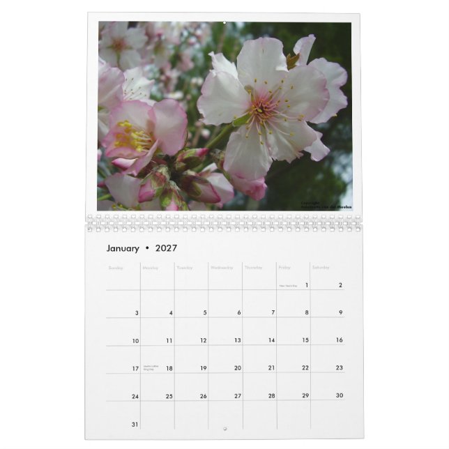 Calendário Flores de Israel (Jan 2027)