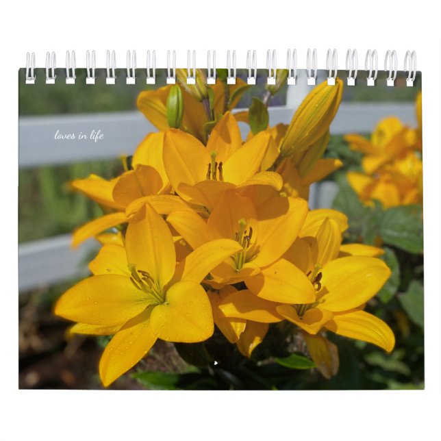 Calendário Flores de Jardim Amarelo (Capa)