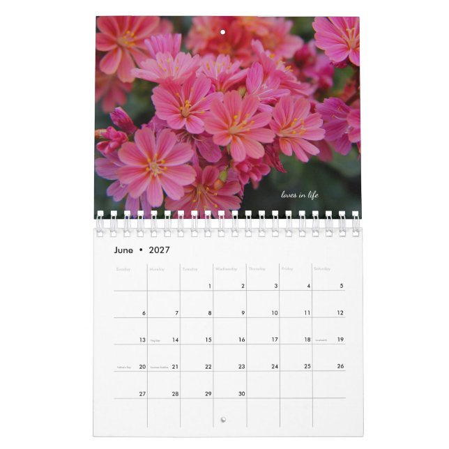 Calendário Flores de Jardim Rosa (Jun 2027)