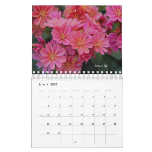Calendário Flores de Jardim Rosa