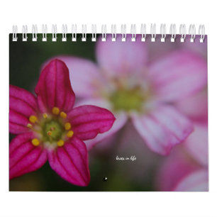 Calendário Flores de Jardim Rosa
