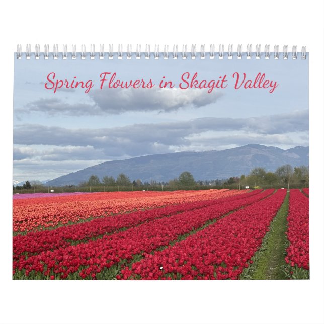 Calendário Flores de Primavera no Vale de Skagit, Estado de W (Capa)
