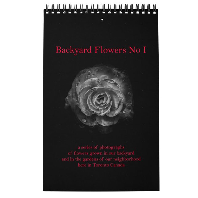 Calendário Flores De Quintal No I (Capa)