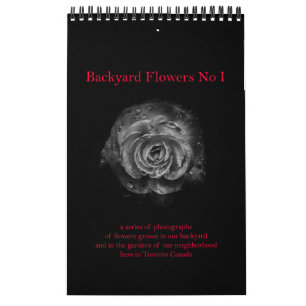 Calendário Flores de quintal No I