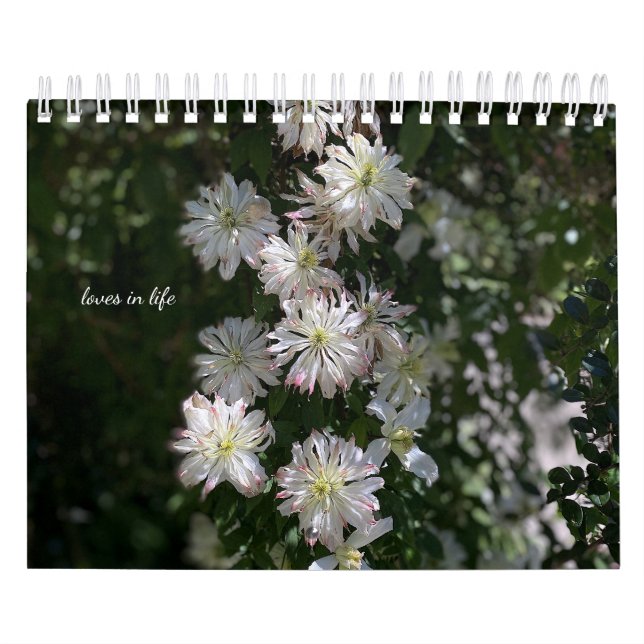 Calendário Flores do Jardim Branco (Capa)
