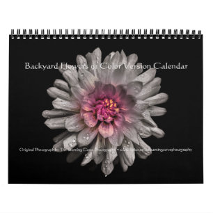 Calendário Flores do Quintal 91 Versão Colorida