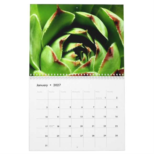 Calendário Flores e insetos (Jan 2027)